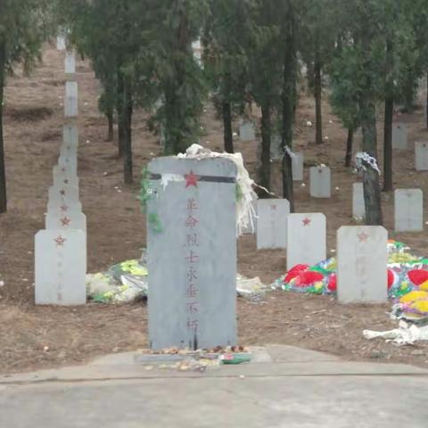 缅怀革命先烈,弘扬民族精神——-涞水农商行赵各庄支行清明祭扫活动