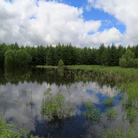 呼伦贝尔自驾游 （2）