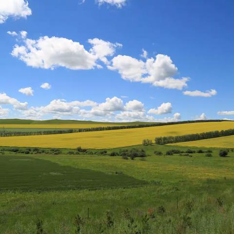 呼伦贝尔自驾游 （1）