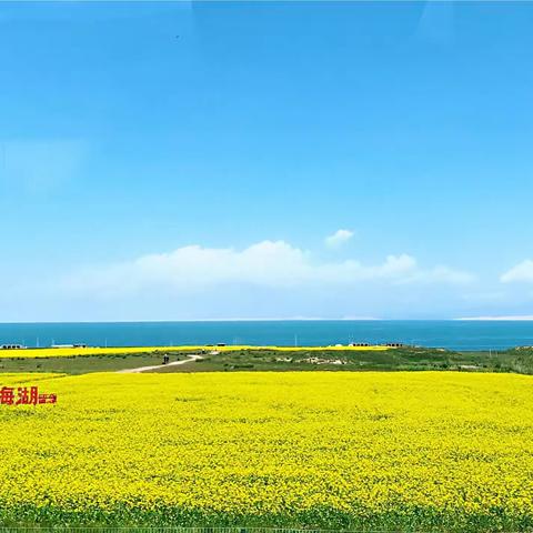 大美不言，青海之夏