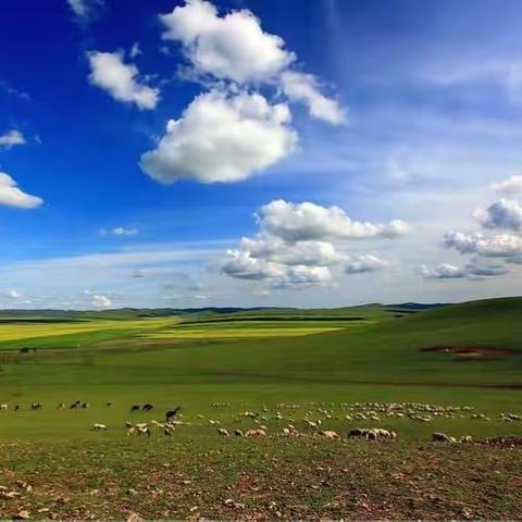 醉美草原，一路向北 一一难忘的哈尔滨、呼仑贝尔之旅