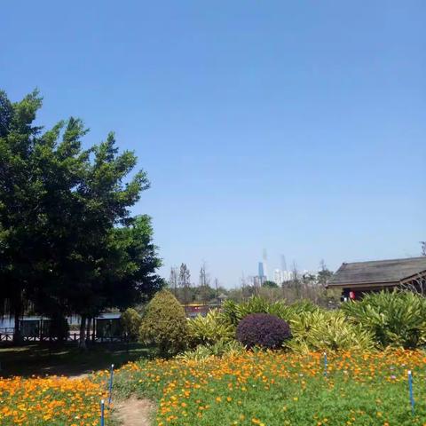 中午环海珠湖一游2018-3-9