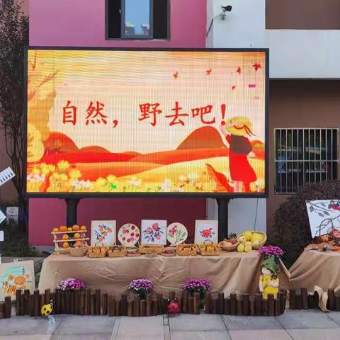 姚幼内涵建设项目组开展“自然，野去吧”野趣游戏场游戏活动