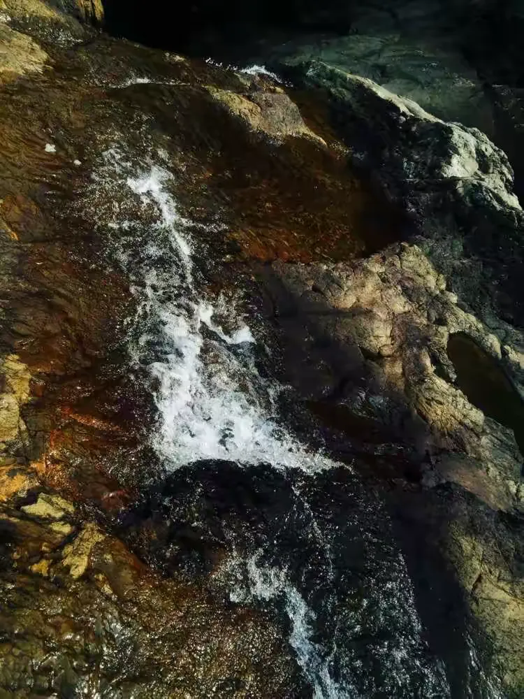 高山流水忆夏天