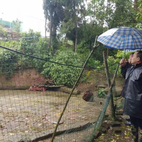 2019年4月20日，值班领导，值班教师，门卫，宿管员分别对学生食堂，公寓，教学楼，在建工地，滑坡地段进行灾情排查。