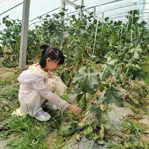 热爱科学生活，走进美丽大自然
