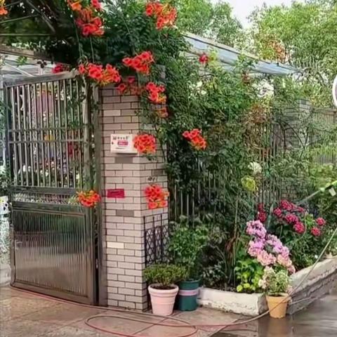 建一个小院，种菜养花。