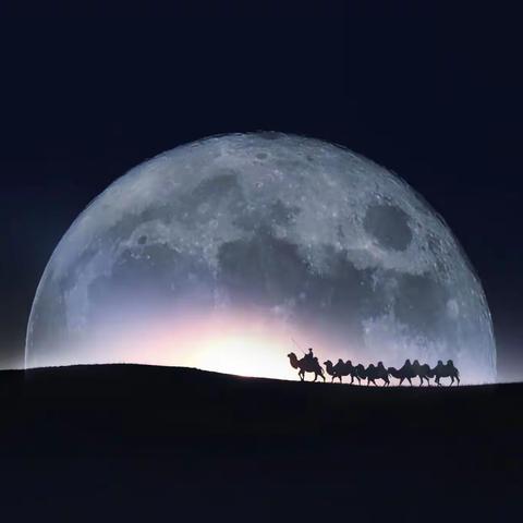 《旅琼摄影》第94期