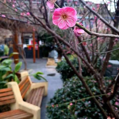 梅山小学：同学们，“停课不停学”自助大礼包来啦！