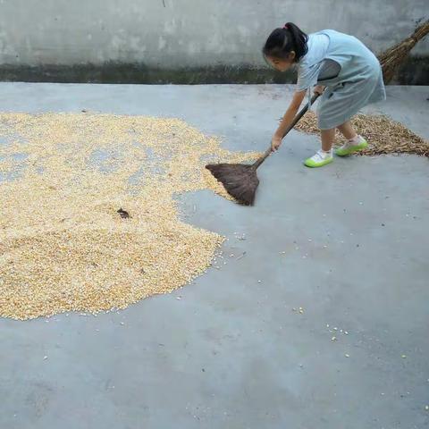 我是勤劳的小蜜蜂四（4）班李佳欣