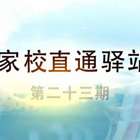 科区实验小学四年六班二组——别再把放任不管，当做“静待花开”