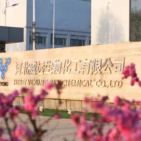 三月劳动竞赛       和谐号在行动