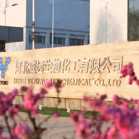 检验安全阀为生产保驾护航