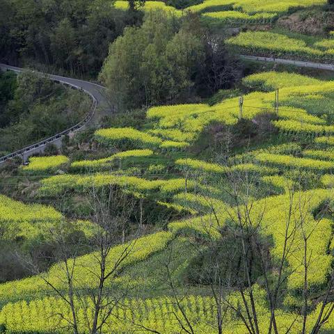 重游桑洲