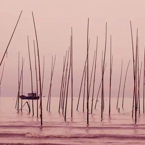 霞浦行色