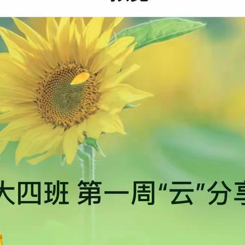 🌻🌻大四班 第一周“云”分享🌻🌻