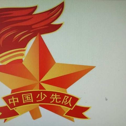 王岗小学少代会隆重召开——我是小小追梦人