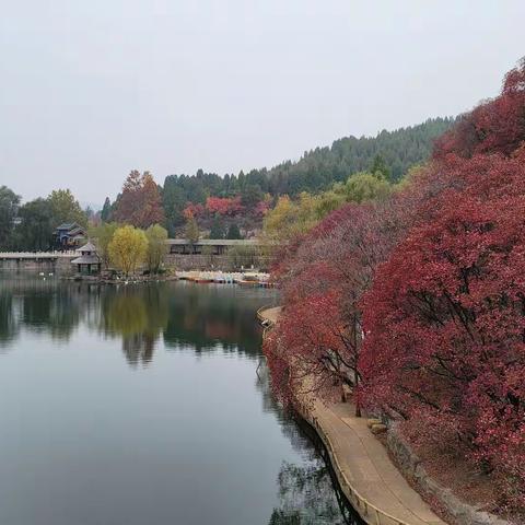 赏秋济南红叶谷