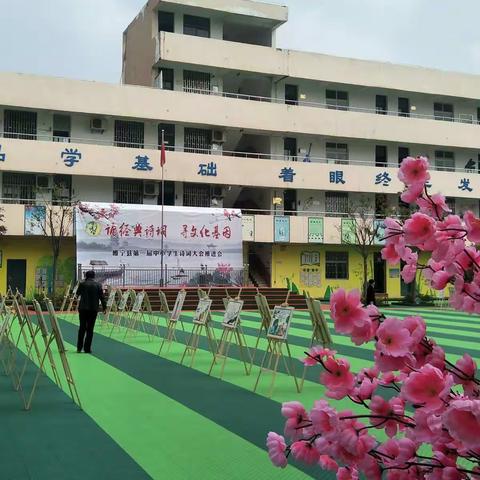 走进城西小学诗词大会有感