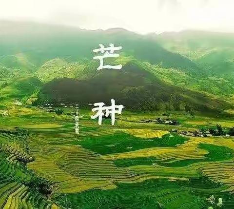 【二十四节气】芒种“百毒之月”,一年中最危险的日子。