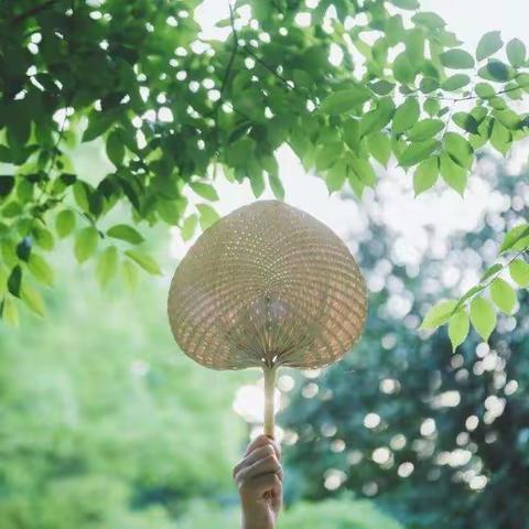 立夏养心，百病不侵