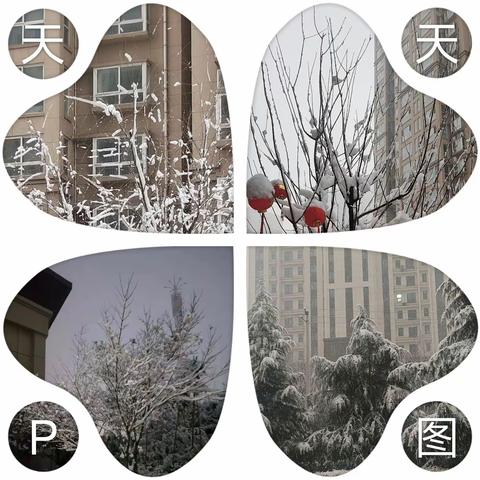 【润诚物业】大雪纷飞·扫雪忙