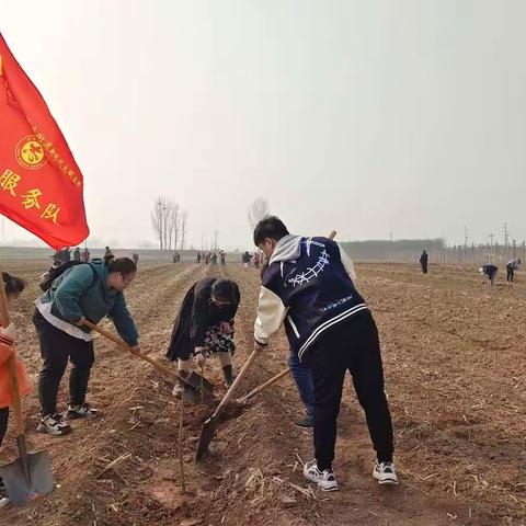 梅园庄街道团工委开展“碳筑美好，共植未来”义务植树活动