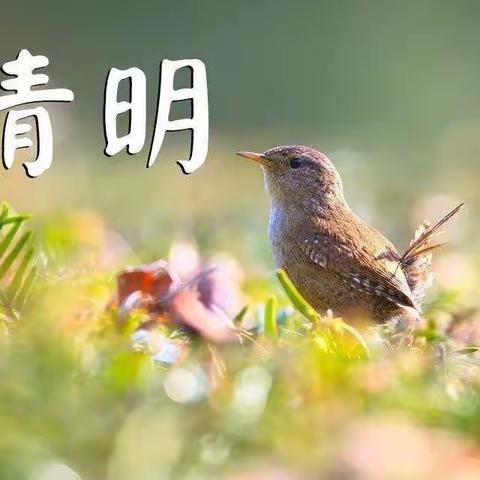 2022年清明节放假安全教育告家长书