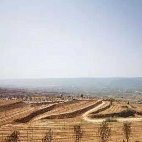 学习二十大、永远跟党走、奋进新征程—东宋镇大宋村