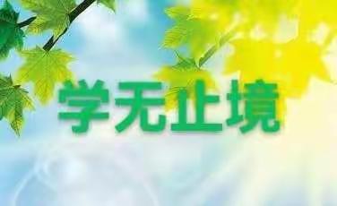 共享备考举措 互鉴教育智慧——记2022年玉龙县中考备考物理复习研讨活动