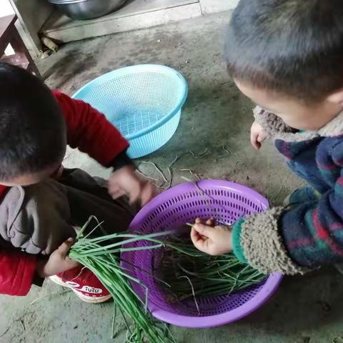 第一次做鸡蛋葱花饼