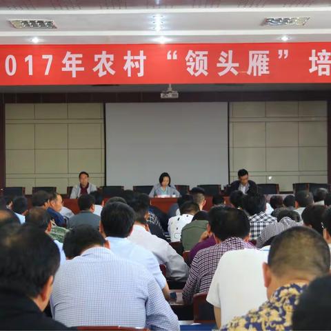 全县2017年农村“领头雁”培训班开班