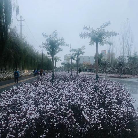 雪海之言