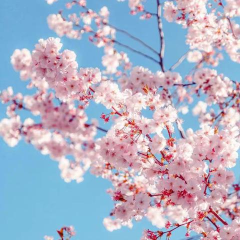 提升个人专业素养，构筑教师美丽人生