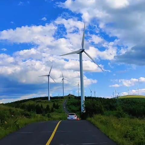 陪你一起看草原