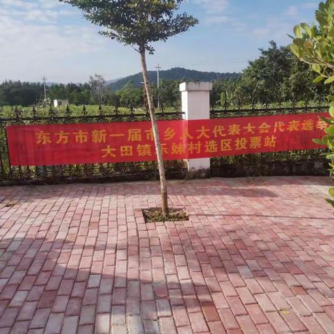 【乐妹村简讯】东方市新一届市乡人民代表大会代表选举大田镇乐妹村选区