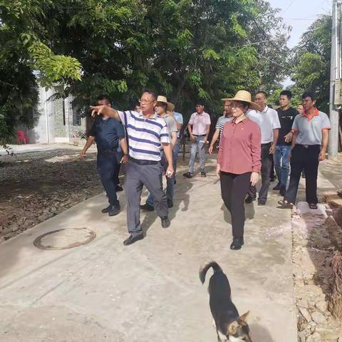 【乐妹村简讯】田丽霞书记同各职能部门到乐妹村调研