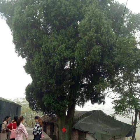 童心路 星鲜事_（复和 上桥 明星 江家 和平片区家访风采）