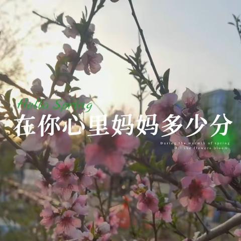 🌻 向日葵班ˢᵘⁿᶠˡᵒʷᵉʳ的美篇