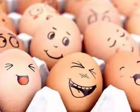 《护蛋行动之摔蛋实验》