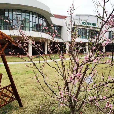 “疫”尘不染，全力以“复”