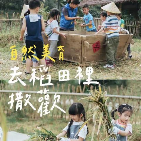 熊孩子自然研学活动