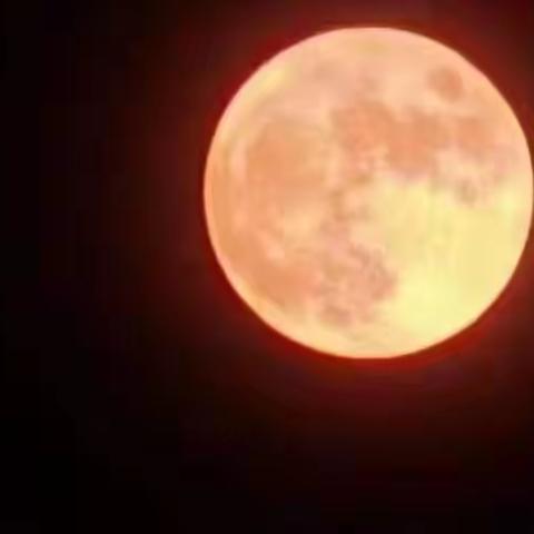 双节奇遇，皓月谢恩师