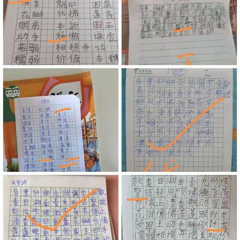 三年四班疫情网课总结