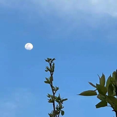 生命，不止一种存在