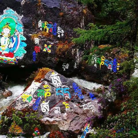 2017年6月20号川西活动——亚丁