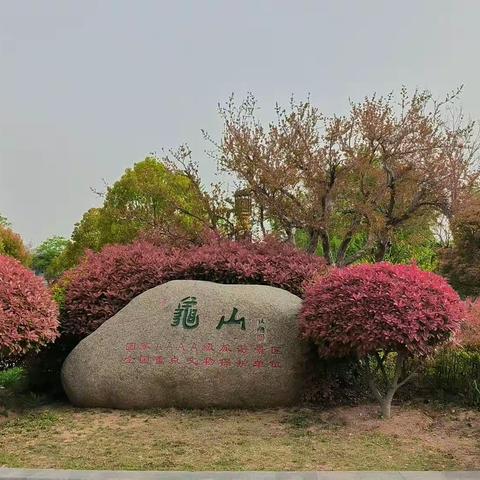 徐州春日游龟山汉墓2023.4.12