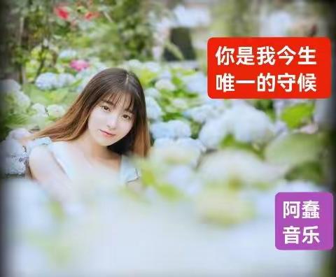 阿蠢2023第1歌《你是我今生唯一的守候》愿天下有情人终成眷属＃大年初一新歌发布＃阿蠢新歌＃众里寻你千百度