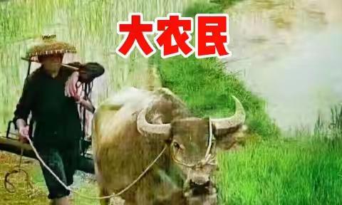 ＜惊蛰春耕＞面朝黄土背朝天🌸一年四季不得闲＃🎶《大农民》≠一首写给农民的歌🥁🎷🎤🎤🎸🎻