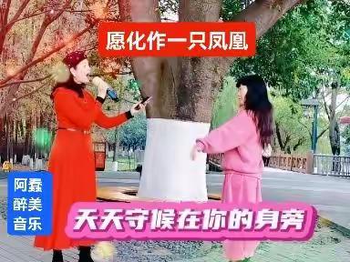 你出水芙蓉般的高贵典雅※美得简直让我惊讶＃雅韵共赏＃一路风景一路歌＃阿蠢醉美音乐